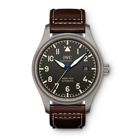 iwc mark xviii heritage titanium|IWC top gun mark xviii.